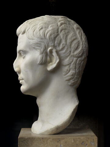 Buste d'Auguste, image 4/8