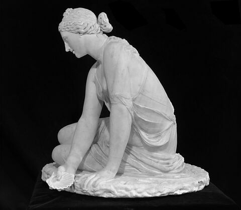 Nymphe à la coquille, image 4/21