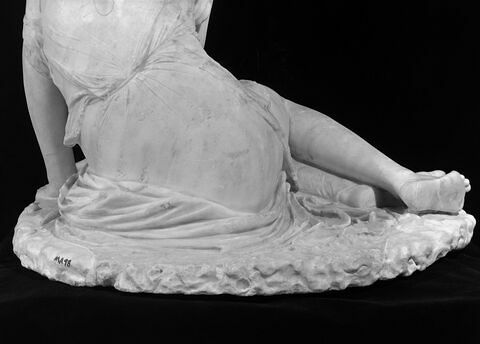 Nymphe à la coquille, image 12/21