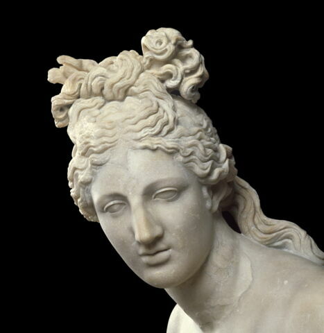Aphrodite du type de la Vénus du Capitole, image 7/9