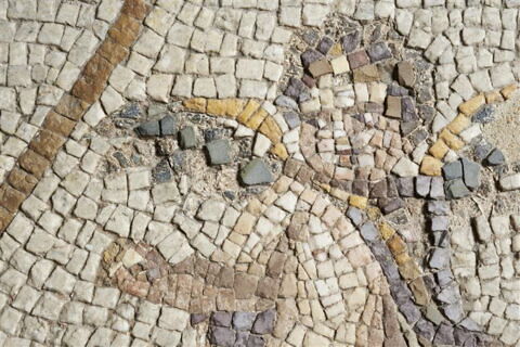 Mosaïque du jugement de Pâris, image 13/14