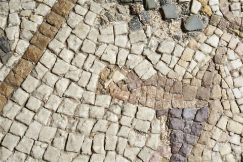 Mosaïque du jugement de Pâris, image 14/14