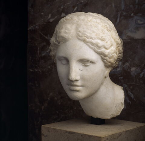 Tête d'Aphrodite du type de l'