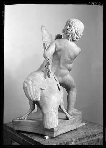 Enfant à l'oie, image 15/20