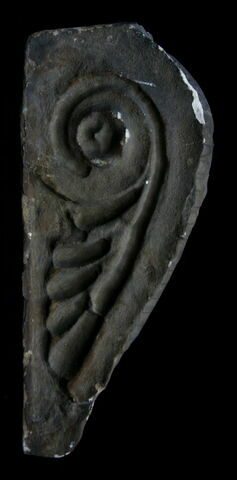 console, image 4/5