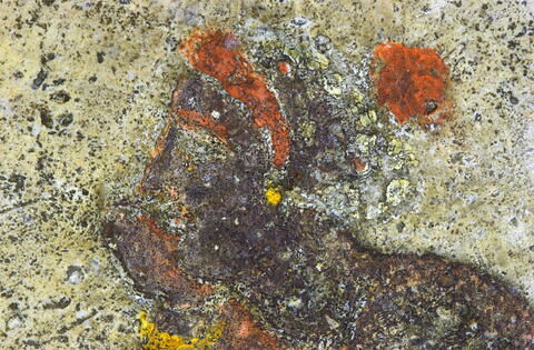 métope, image 5/10