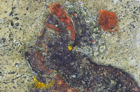 métope, image 6/10