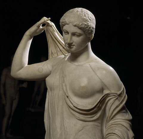 Aphrodite du type de la Venus Genitrix, image 5/27