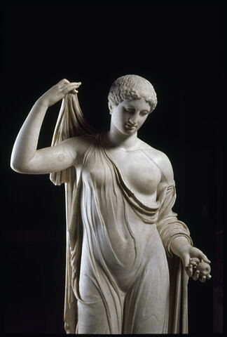Aphrodite du type de la Venus Genitrix, image 8/27