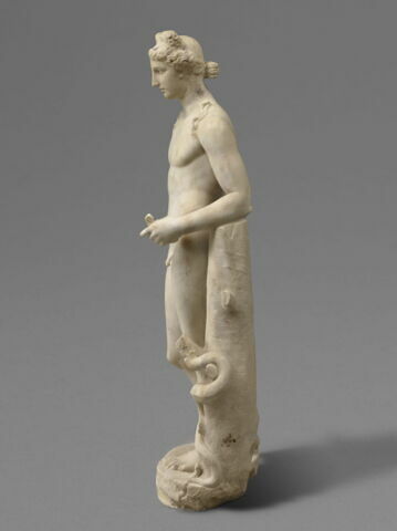 Apollon Richelieu, image 4/6
