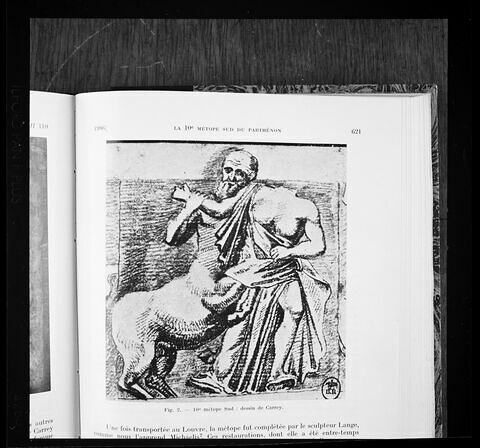 Dixième métope sud du Parthénon, centaure et femme lapithe, image 6/13