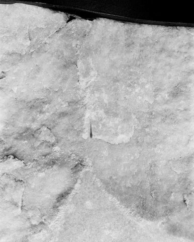 torse Cordier, image 12/25