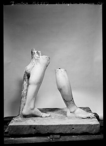 Pollux, image 4/5
