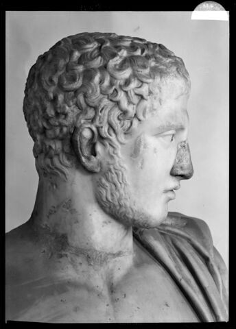 Diomède Richelieu, image 14/14