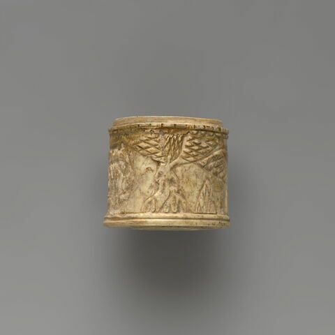 pyxis, image 2/4