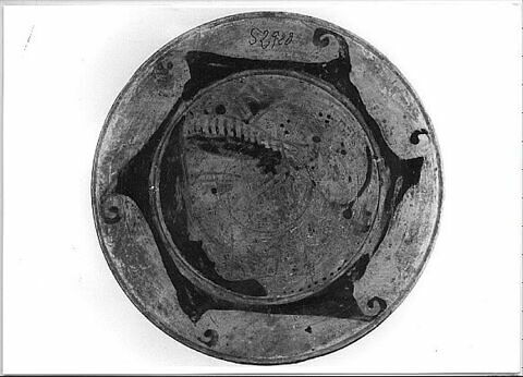 plat