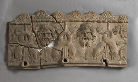 plaque Campana ; chéneau = sima