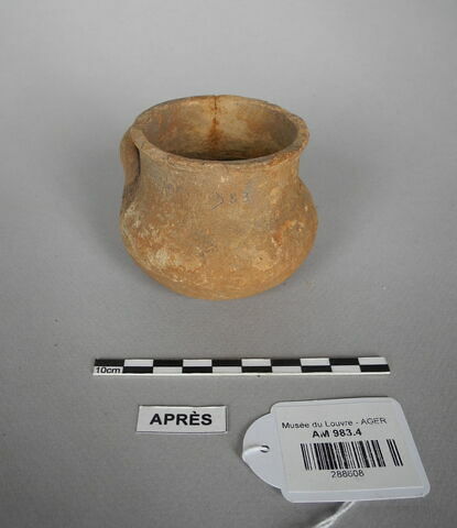 tasse