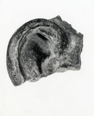 statue  ; ex-voto anatomique