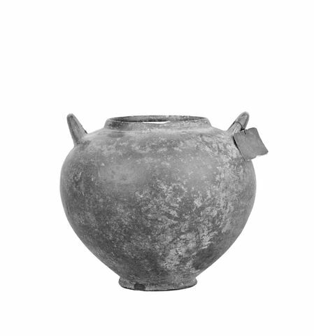 olla