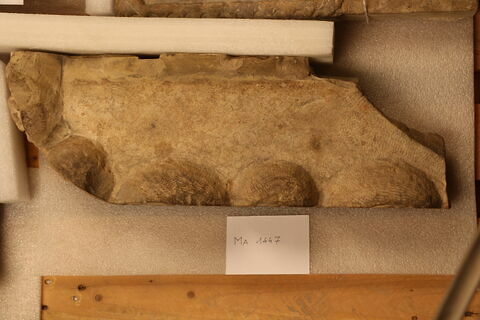 couvercle de sarcophage, image 2/4