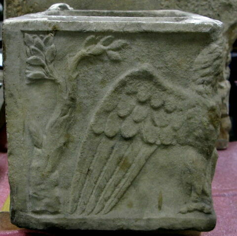 urne, image 3/4