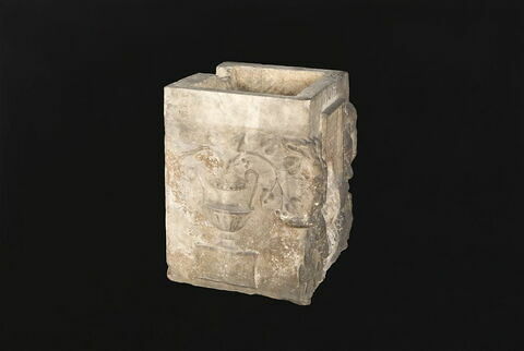 cippe, image 3/3