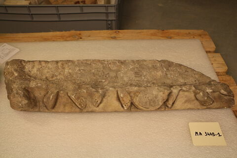 sarcophage