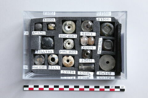 fusaïole, image 2/2