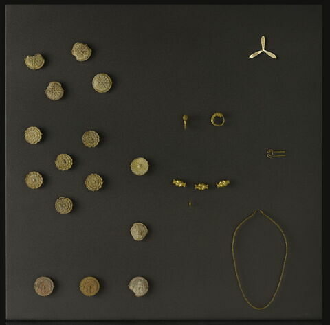 bouton, image 2/2