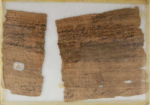 Papyrus, image 2/2