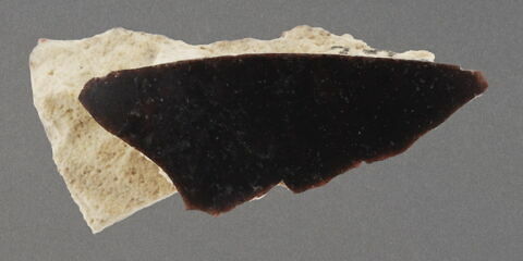 Fragment de paroi