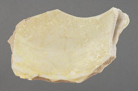 Fragment de fond de coupe