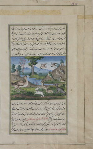 Les animaux assemblés autour d'une autruche (page d'un « Lumières de Canope »), image 4/4