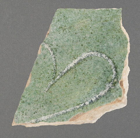 Fragment