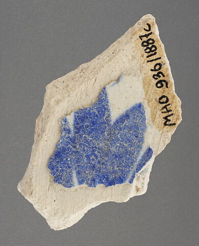 Fragment