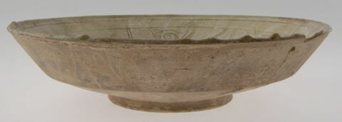 Plat caréné/ base animalière, image 2/2