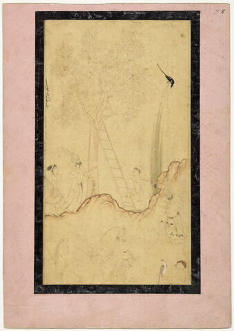 Shah Tahmasp, jeune garçon perché dans un arbre (?)