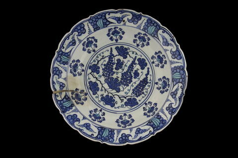 Plat aux grappes de raisin bleues, image 4/6