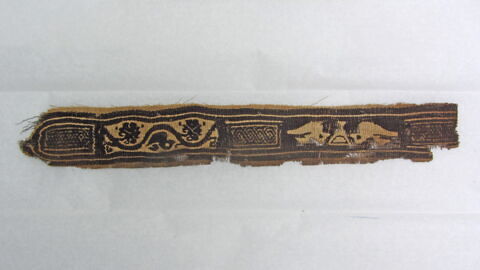 clavus ; fragment, image 2/2