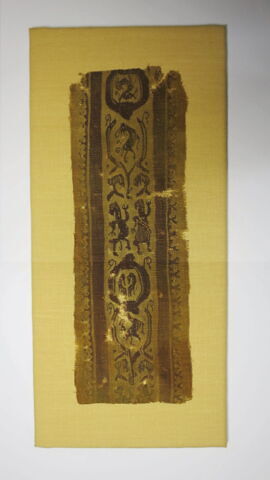 clavus, image 2/3
