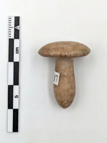 boucle d'oreille en champignon, image 2/4