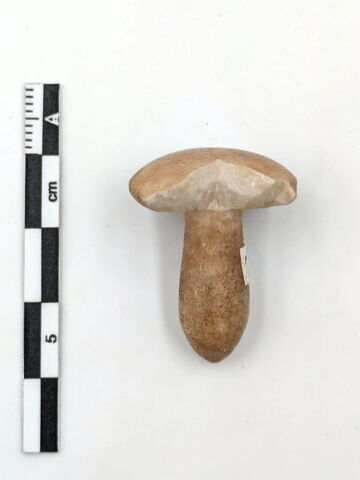 boucle d'oreille en champignon