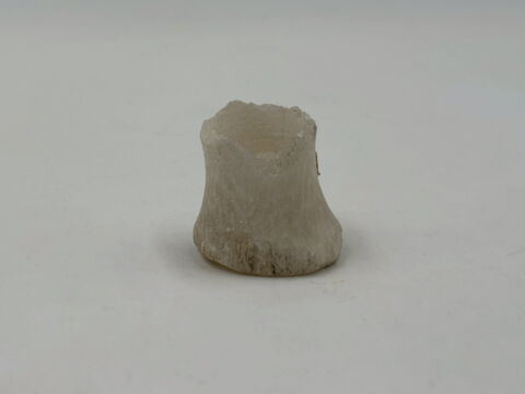 bouchon de vase, image 4/6