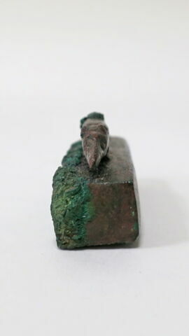 cercueil de musaraigne, image 2/6