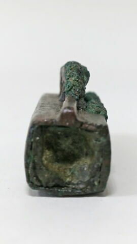 cercueil de musaraigne, image 3/6