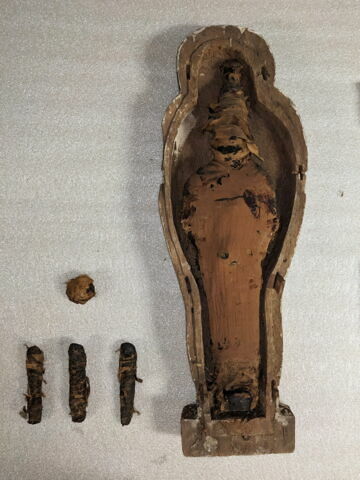 Cercueil miniature contenant une pseudo-momie d'Osiris, trois figurines de fils d'Horus et une boule magique ou scarabée, image 3/8