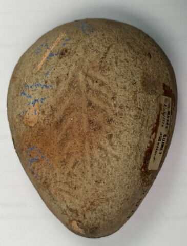 lampe, image 3/4
