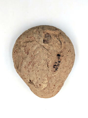 lampe à la grenouille stylisée, image 3/3