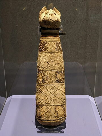 momie de chat, image 3/10